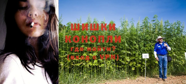 гашиш Беломорск
