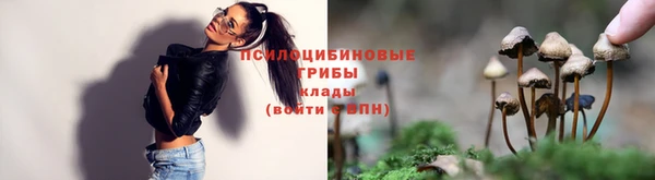 герыч Арсеньев