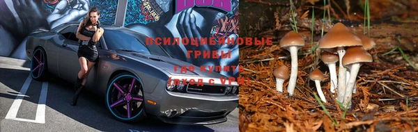 гашиш Беломорск