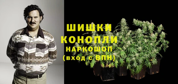 стаф Белоозёрский