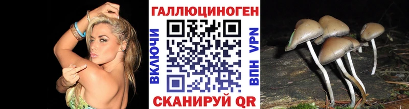 Псилоцибиновые грибы Psilocybe  даркнет сайт  Кемь 